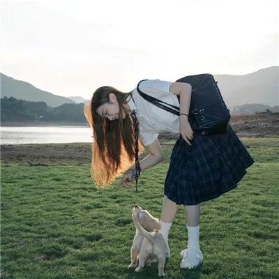 粉红理论